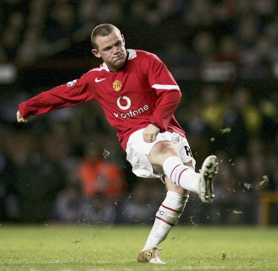 代表了海牛 代表了海牛